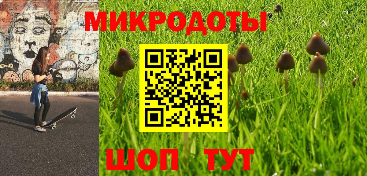 Галлюциногенные грибы Cubensis Волгоград